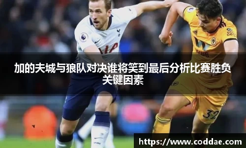 加的夫城与狼队对决谁将笑到最后分析比赛胜负关键因素